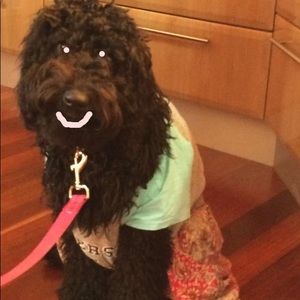 Meet your Posher, Keeley